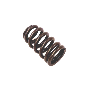 Engine Valve Spring